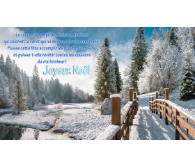 Joyeuses Fêtes !!!