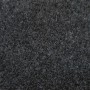 Moquette  PPE Anthracite